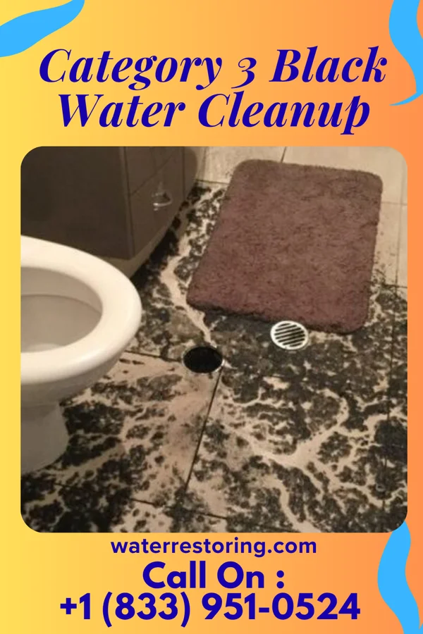 Category 3 Black Water Cleanup in Le Center, MN